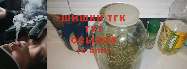 спиды Вяземский